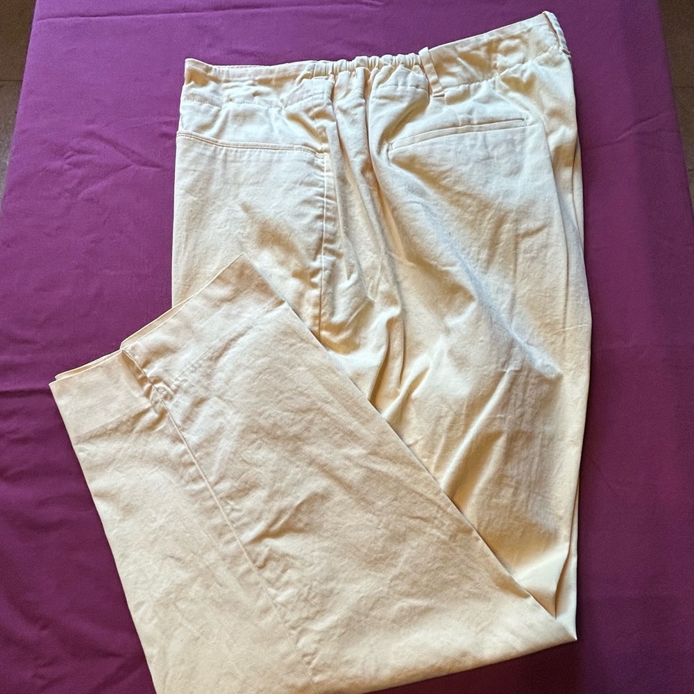 Talbot Woman Spring pants. Size 20W.